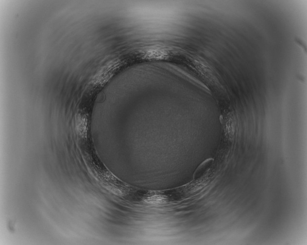 X0000101970551200808011133