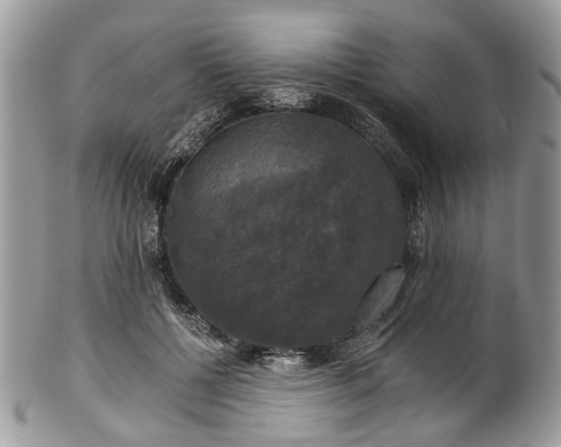 X0000101970552200808011133