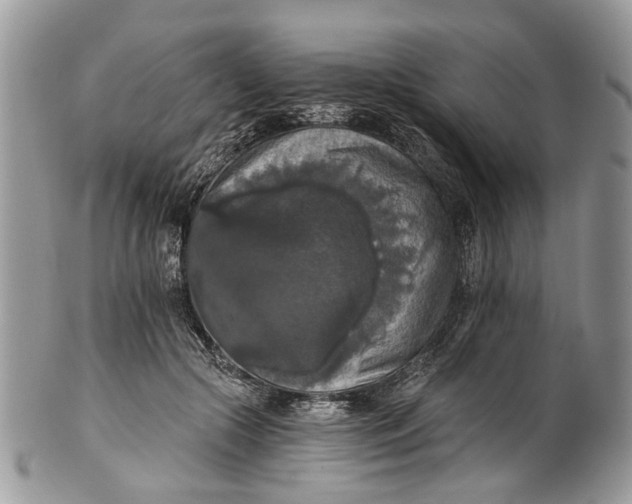 X0000101970553200808011133