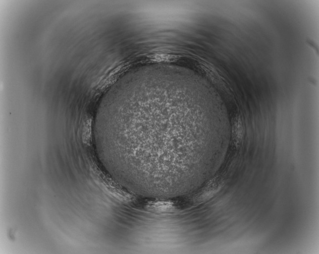 X0000101970554200808011133