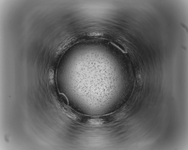 X0000101970556200808011133