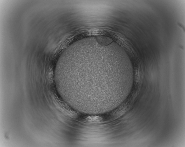 X0000101970557200808011133