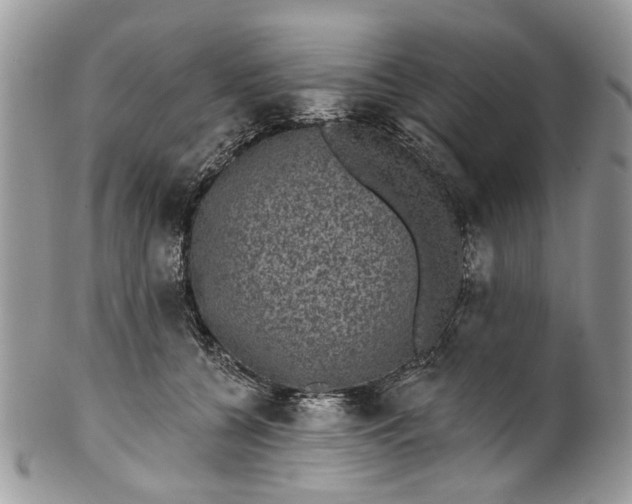 X0000101970560200808011133
