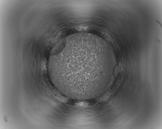 X0000101970561200808011133