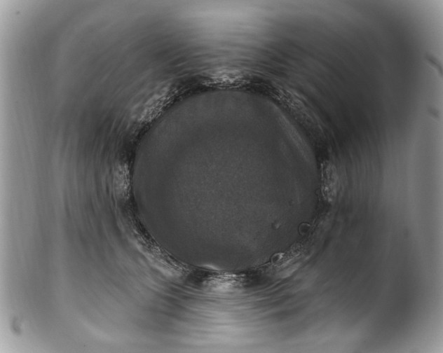 X0000101970563200808011133