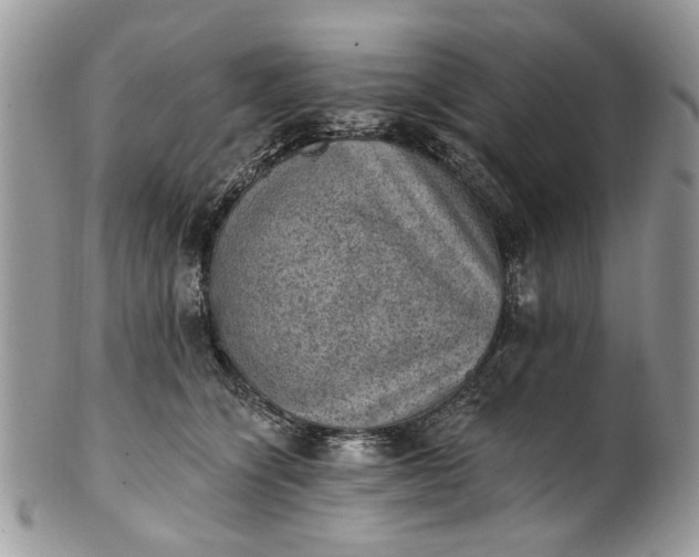 X0000101970564200808011133