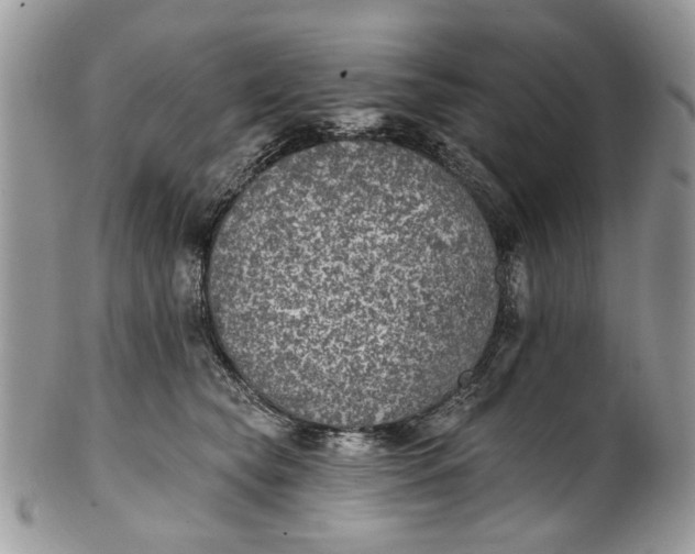 X0000101970565200808011133