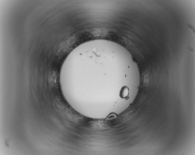 X0000101970567200808011133