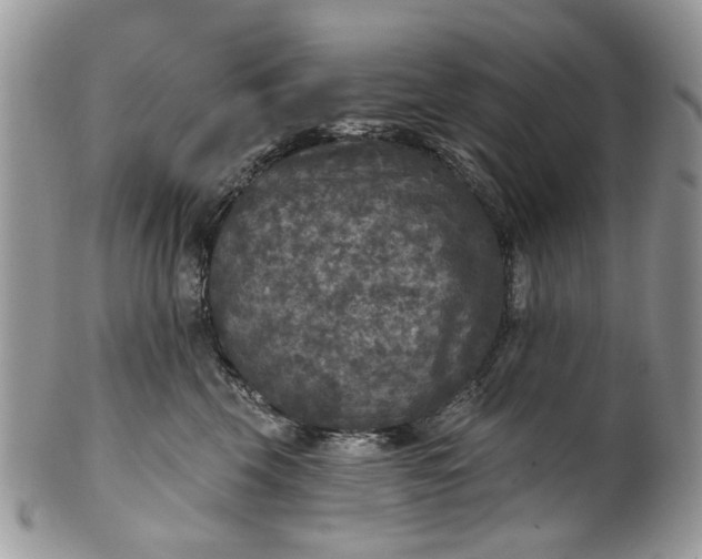 X0000101970569200808011133