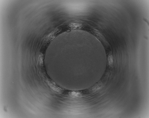 X0000101970570200808011133