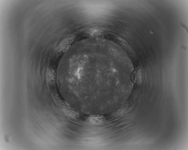 X0000101970571200808011133