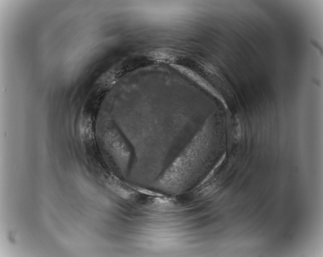 X0000101970573200808011133
