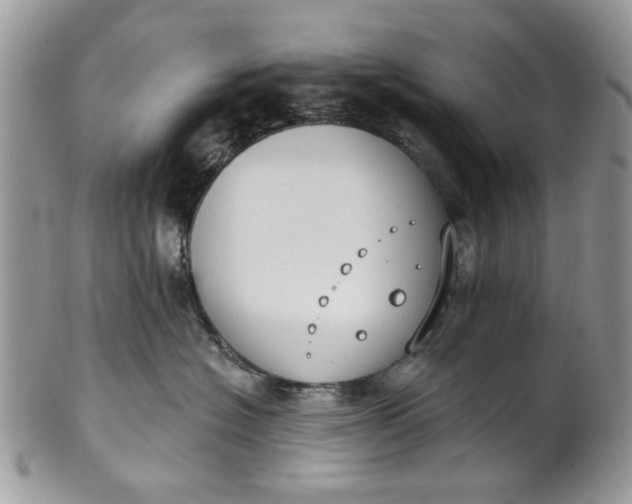 X0000101970574200808011133