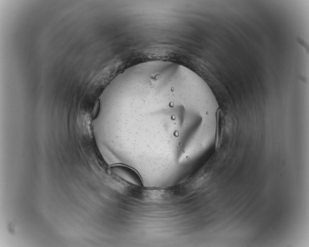 X0000101970575200808011133