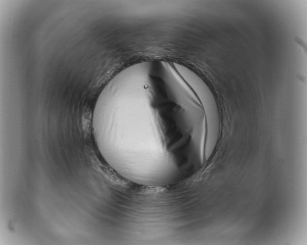 X0000101970576200808011133