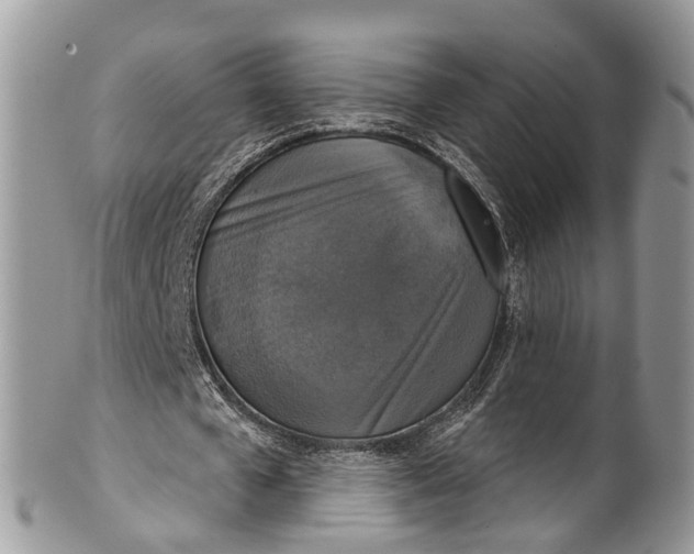 X0000101970577200808011133