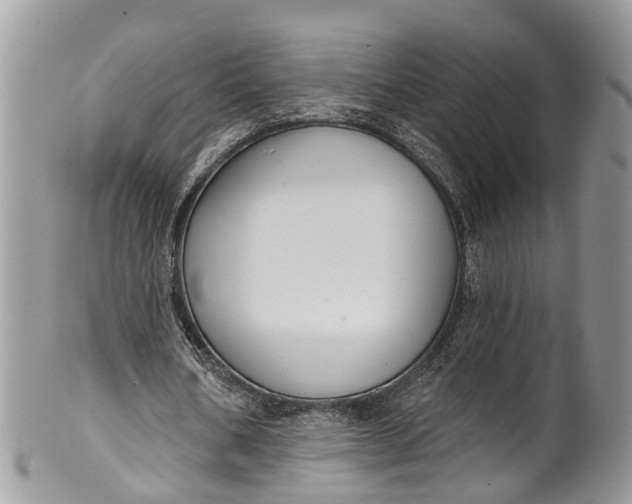 X0000101970578200808011133