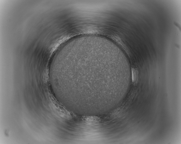 X0000101970579200808011133