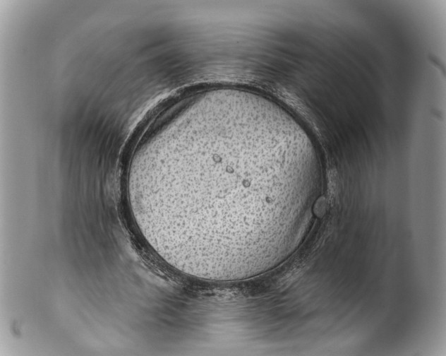 X0000101970580200808011133