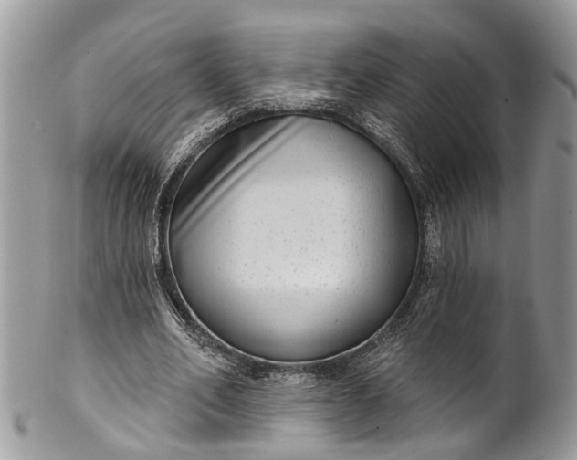 X0000101970582200808011133