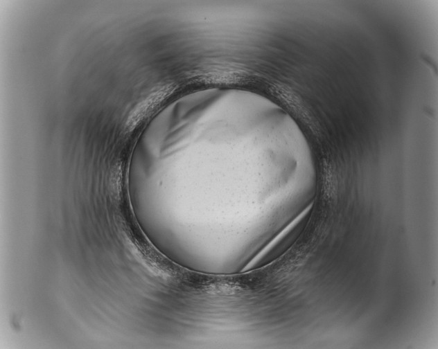 X0000101970586200808011133