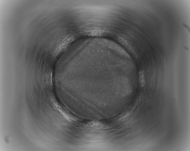 X0000101970589200808011132