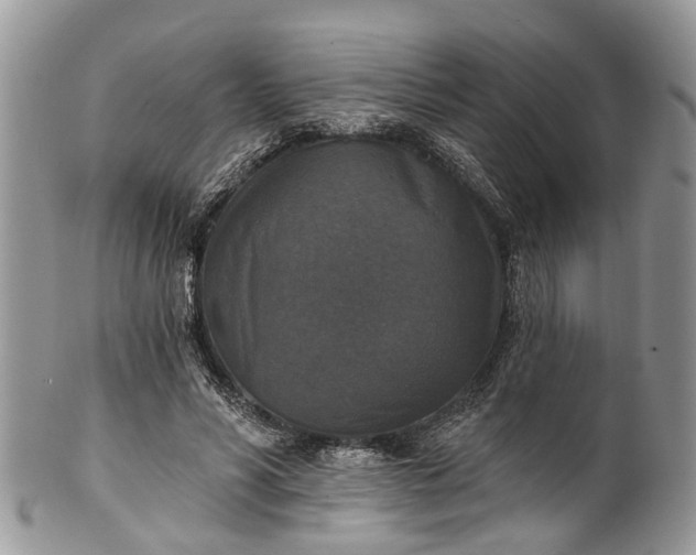 X0000101970590200808011132