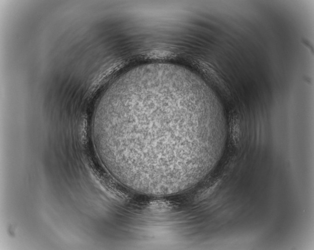 X0000101970591200808011132