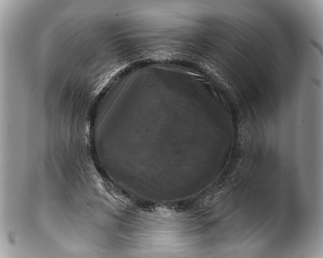 X0000101970592200808011132