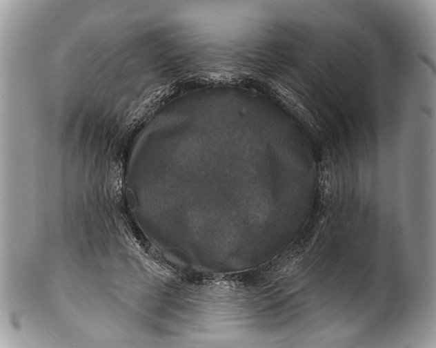 X0000101970593200808011132