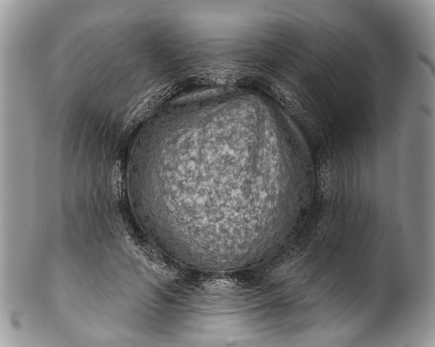 X0000101970594200808011132