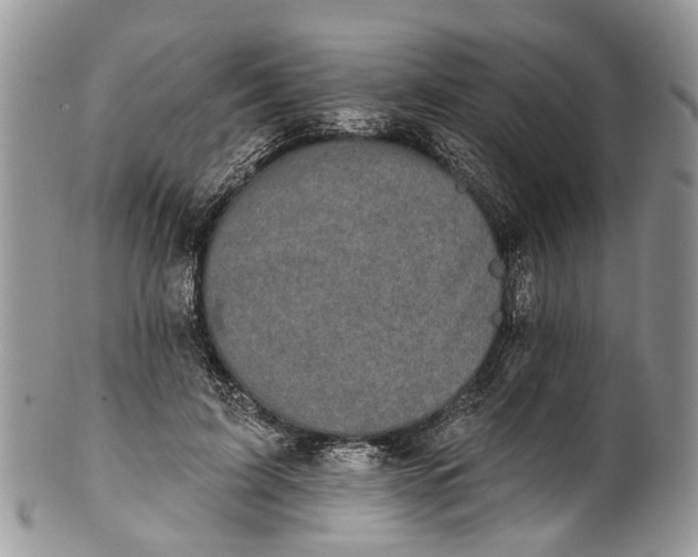 X0000101970595200808011132