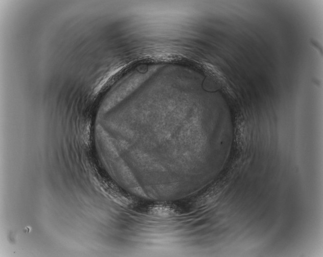 X0000101970596200808011132