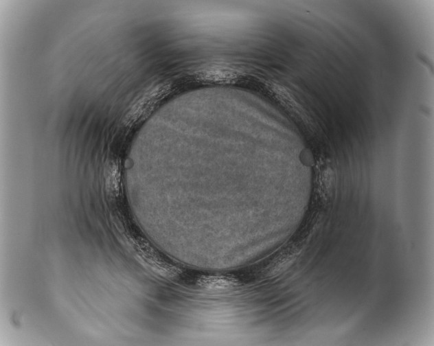 X0000101970597200808011132
