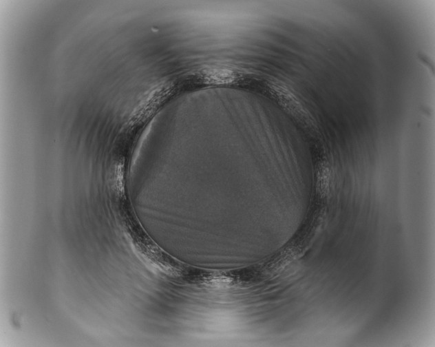 X0000101970598200808011132