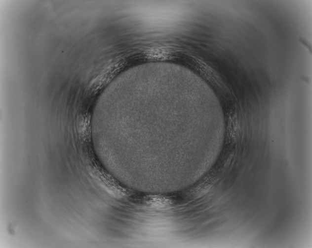X0000101970601200808011132