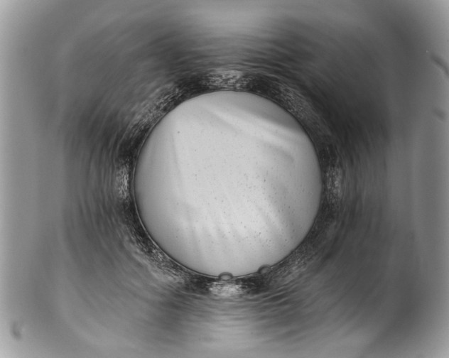 X0000101970602200808011132
