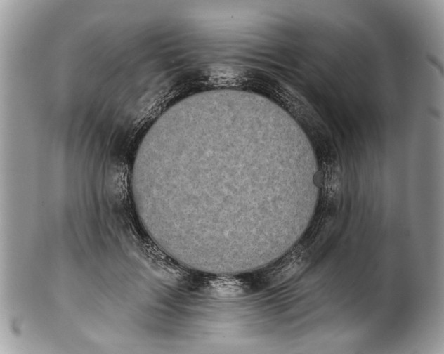 X0000101970603200808011132