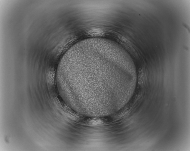 X0000101970604200808011132