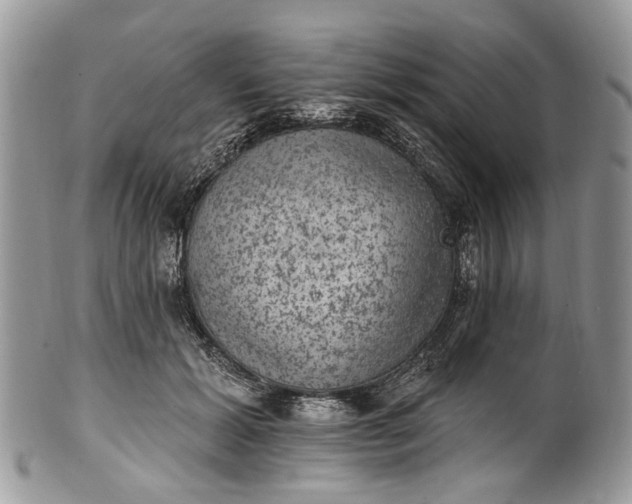 X0000101970605200808011132