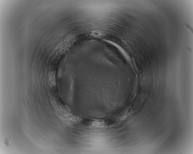 X0000101970606200808011132