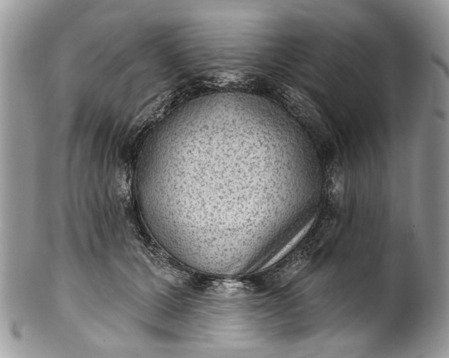 X0000101970607200808011132