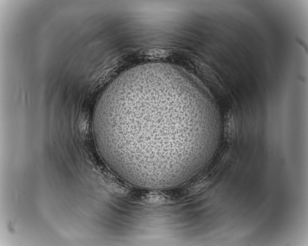 X0000101970608200808011132
