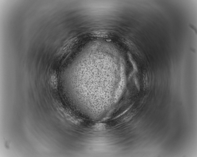 X0000101970609200808011132