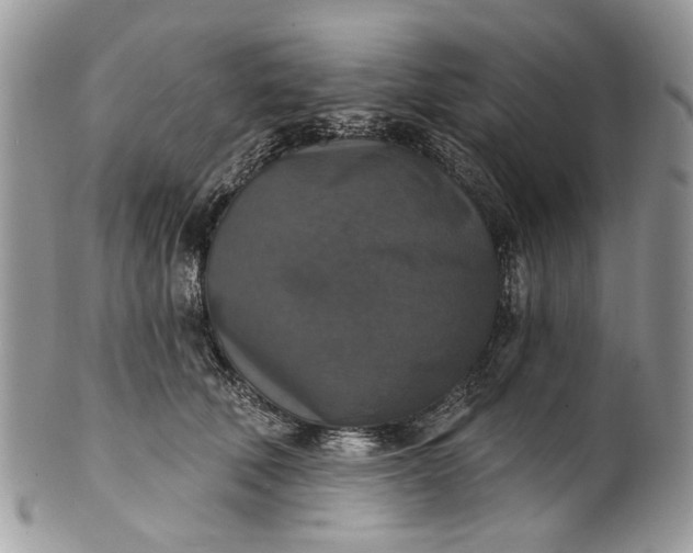 X0000101970610200808011132