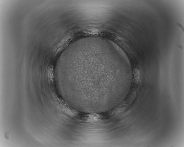 X0000101970612200808011132