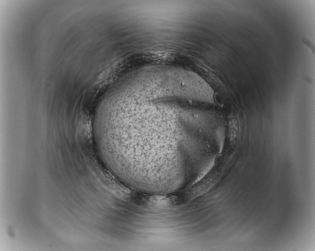 X0000101970613200808011132