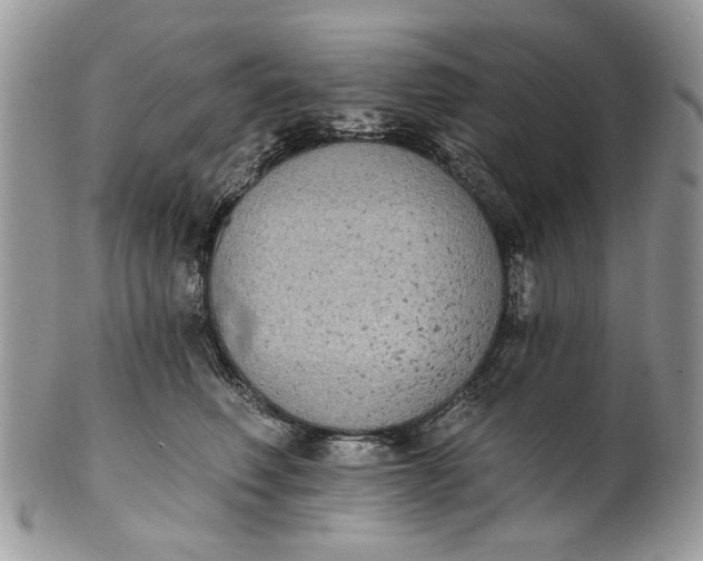 X0000101970614200808011132