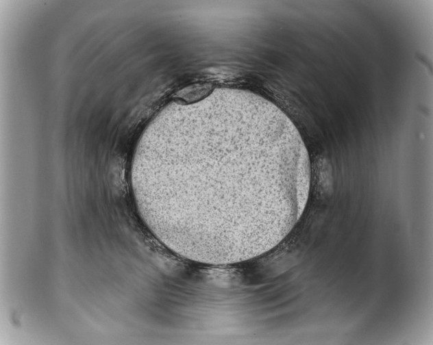 X0000101970615200808011132