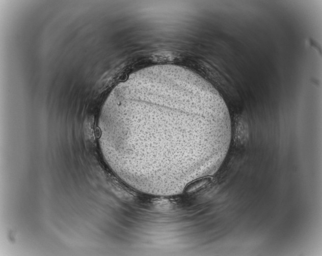 X0000101970616200808011132